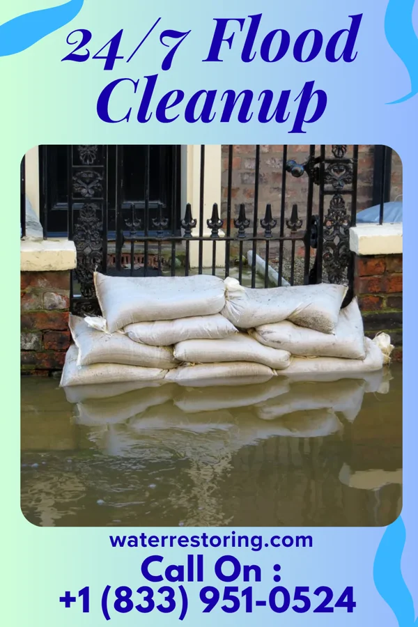 24/7 Flood Cleanup in Bloomsdale, MO