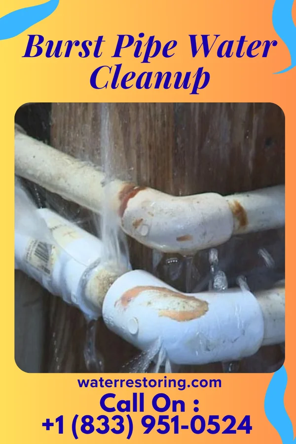 Burst Pipe Water Cleanup in Bloomsdale, MO