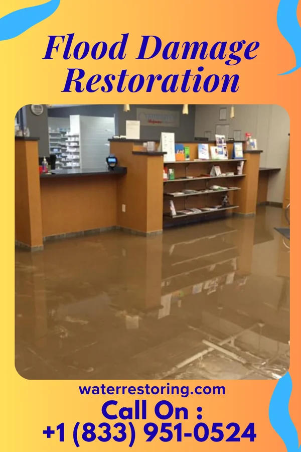 Flood Damage Restoration in Bloomsdale, MO