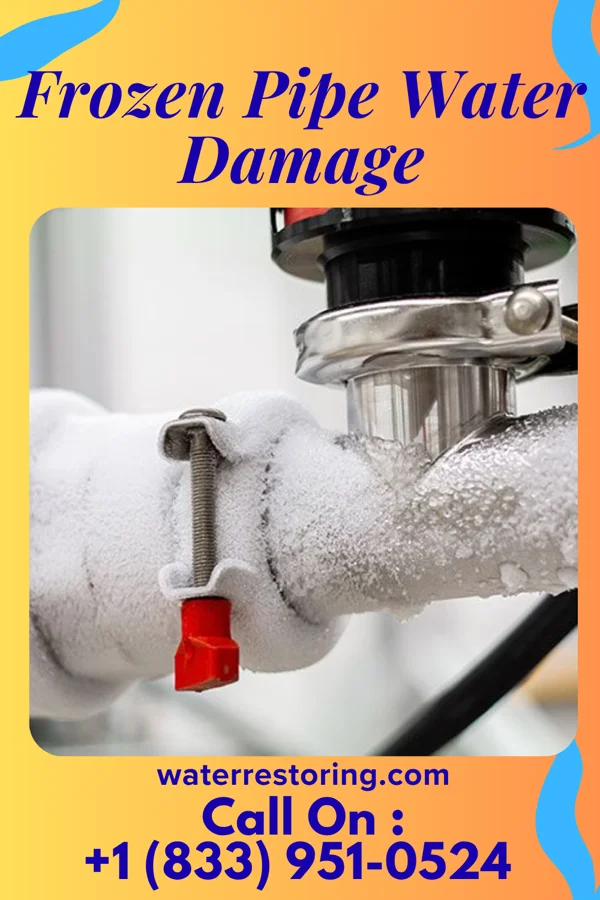 Frozen Pipe Water Damage in Bloomsdale, MO