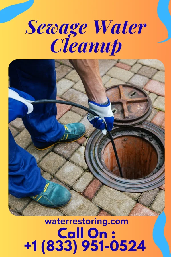Sewage Water Cleanup in Bloomsdale, MO